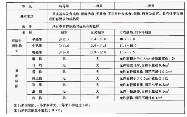 李子冷庫建造完成后如何用于儲存的？這些你都知道嗎