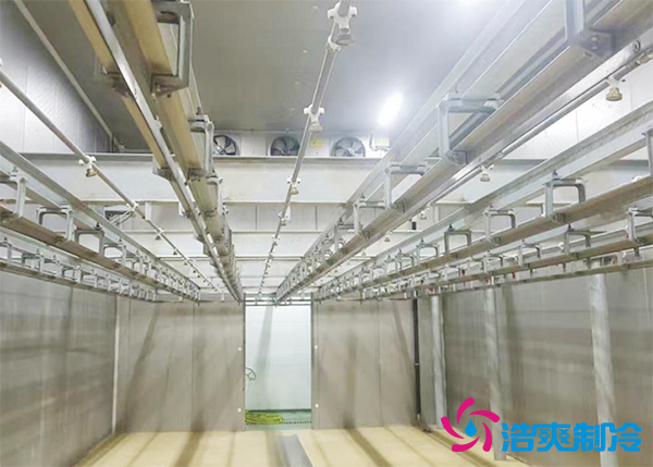 屠宰場建造200噸豬肉排酸冷庫安裝造價多少錢？-浩爽制冷