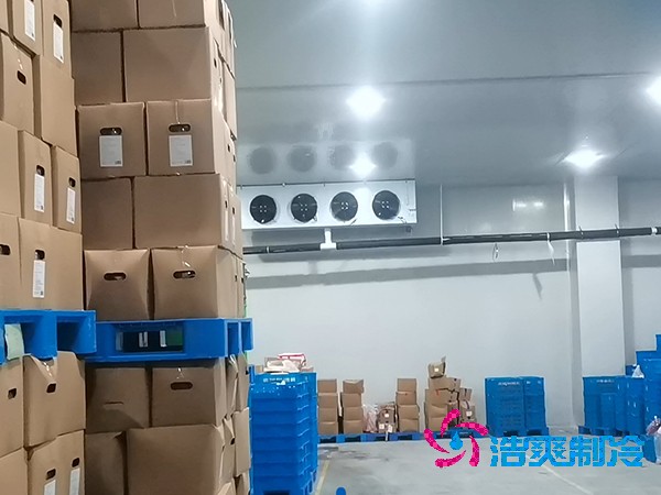 建造魚(yú)糜制品低溫冷庫(kù)的費(fèi)用及其重要性
