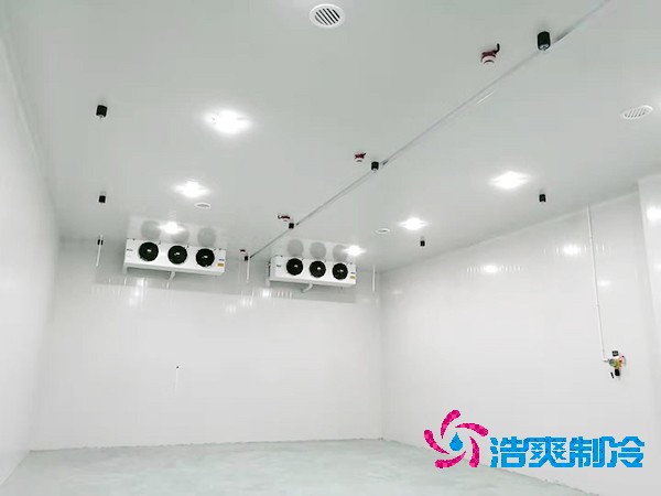 冷庫(kù)造價(jià)揭秘：300平方米到底要花多少錢(qián)？-浩爽制冷