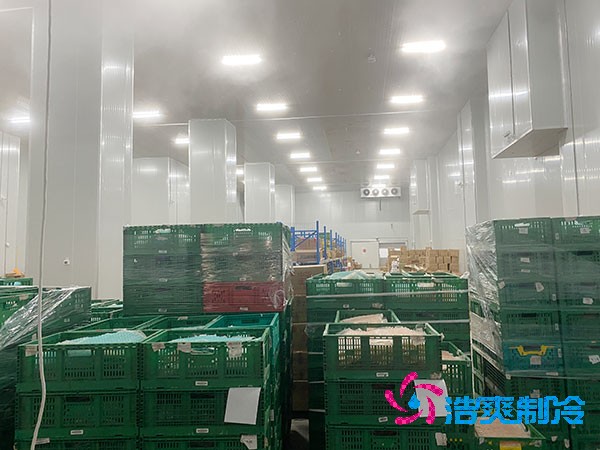 夏季蔬菜保鮮難？500噸冷庫建造價格揭秘！