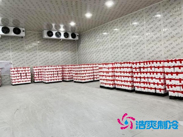 檳榔保鮮冷庫安裝造價費(fèi)用多少錢？-浩爽制冷