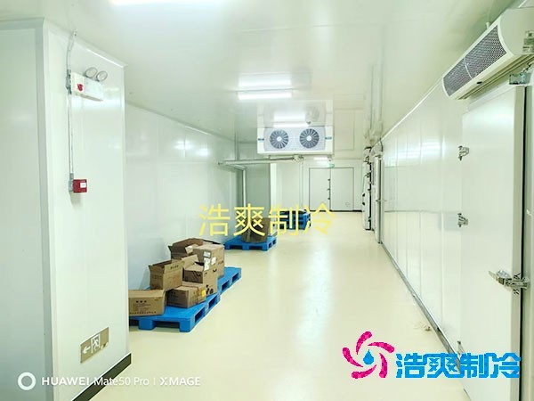 荔枝冷庫(kù)安裝價(jià)格多少錢一平方米？荔枝冷庫(kù)可以放多久-浩爽制冷